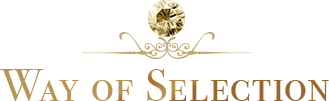 WAY OF SELECTION