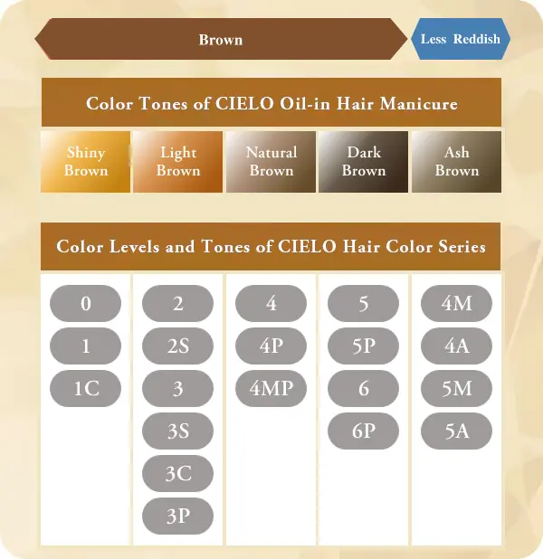 Shiny Brown Light Brown Natural Brown Dark Brown Ash Brown