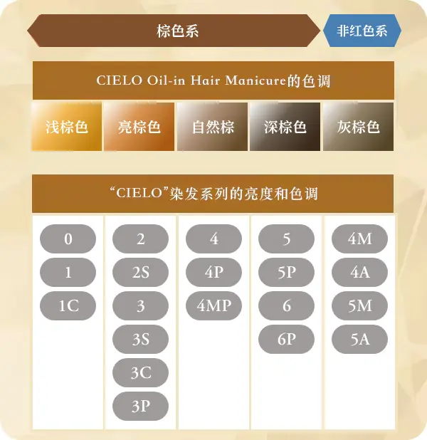 浅棕色 亮棕色 自然棕 深棕色 灰棕色