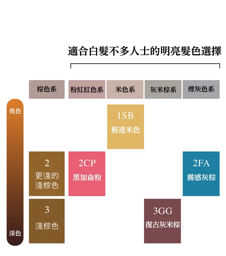 適合白髮不多人士的明亮髮色選擇