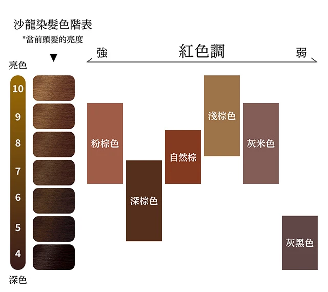 沙龍染髮色階表 *當前頭髮的亮度 強 紅色調 弱 亮色 10 9 7 6 5 4 深色 粉棕色 深棕色 自然棕 淺棕色 灰米色 灰黑色