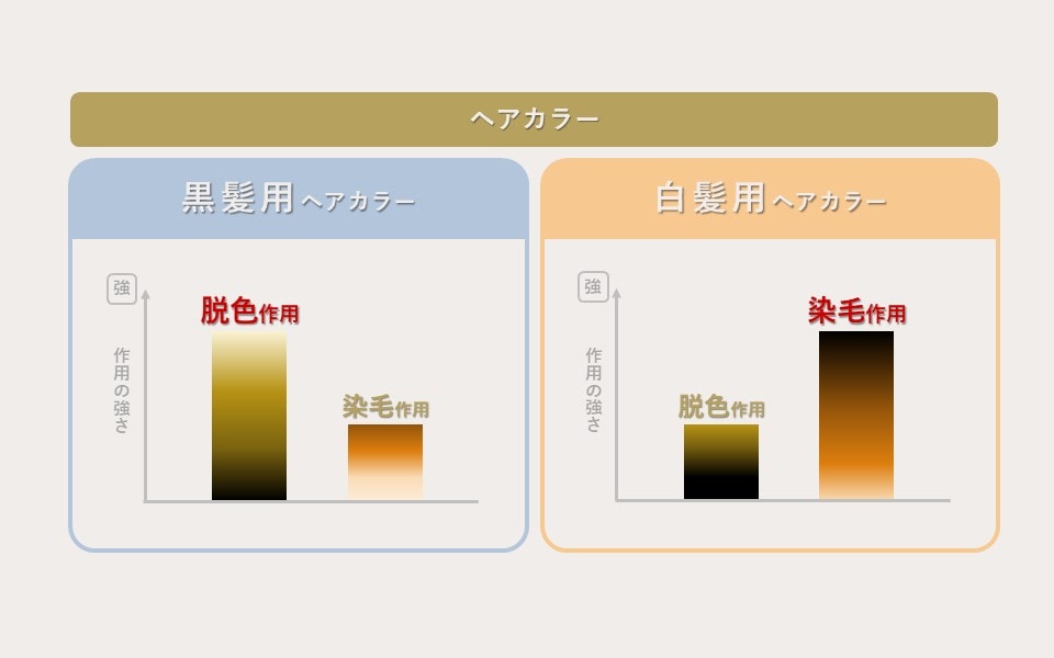 黒髪用ヘアカラーと白髪用ヘアカラーとの作用の違い